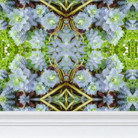 Wallpaper -  Myrtle Spurge #2 - Psychedelic Voyager Art Collection