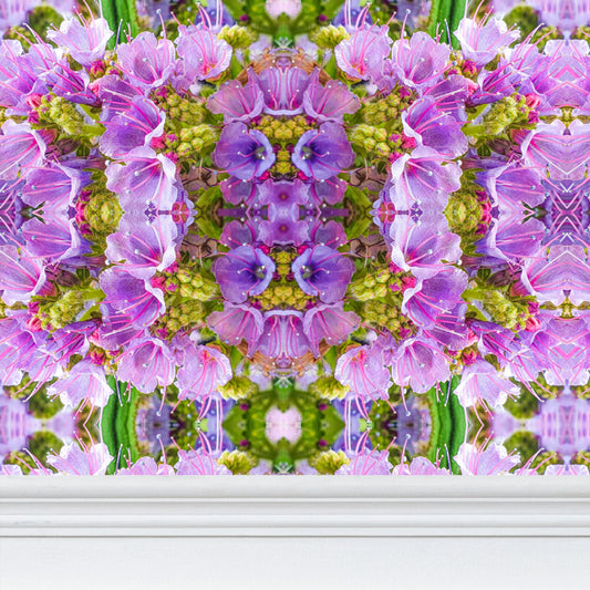 Wallpaper - Echium Pink Fountain #3  -  Psychedelic Voyager Art Collection