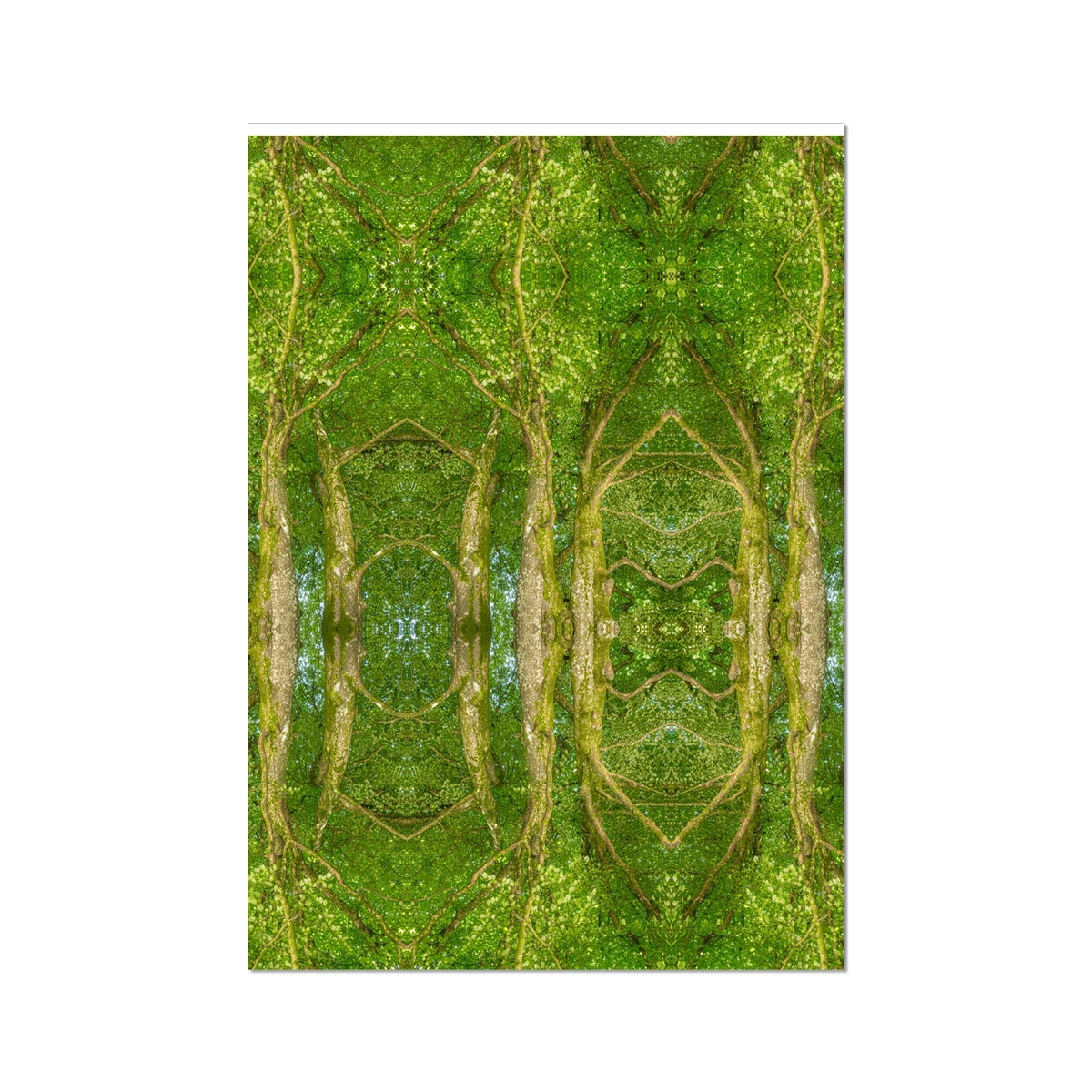 Fagus Cathederal of Trees - Heligan Beech Tree Wall Art Poster