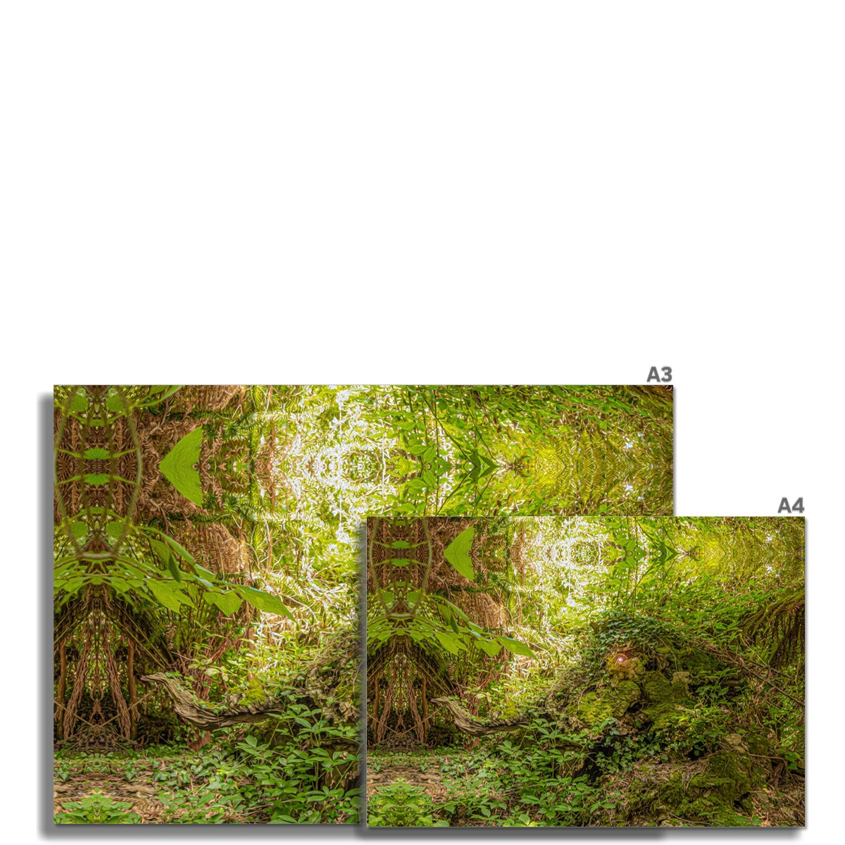 Heligan's Lost Ganesha Wall Art Poster