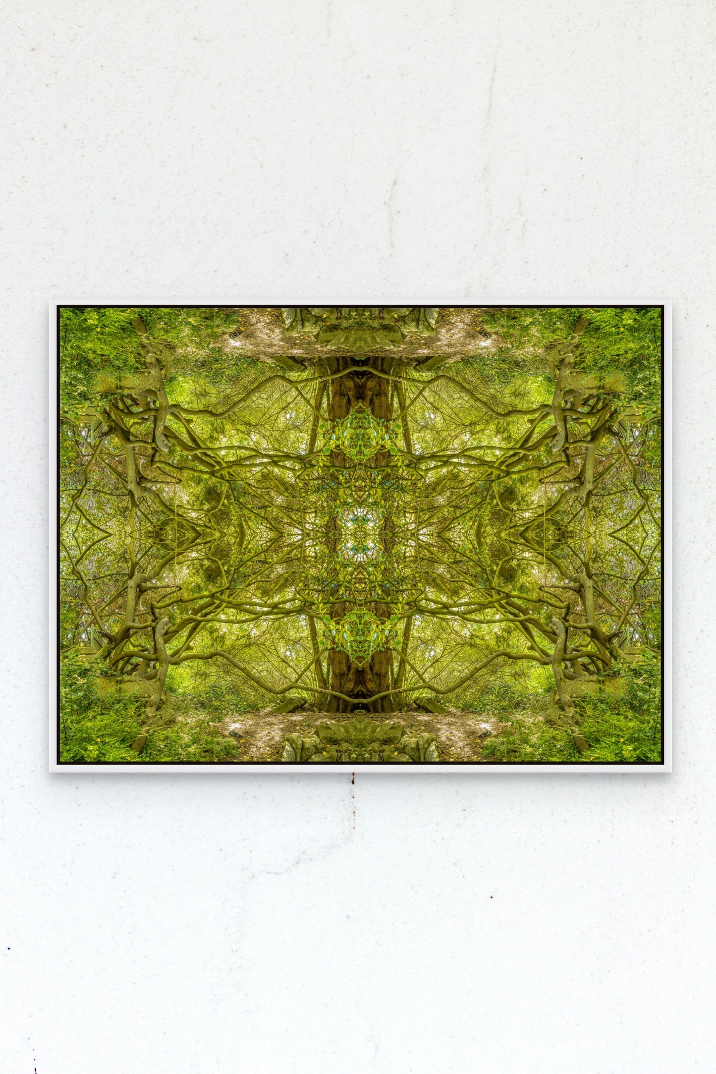 Gilcee Print Tree Temple - Mirrored Photographic Art by Psychedelic Voyager Art Collection.