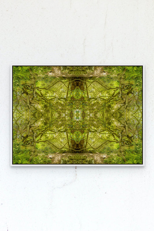 Gilcee Print Tree Temple - Mirrored Photographic Art by Psychedelic Voyager Art Collection.